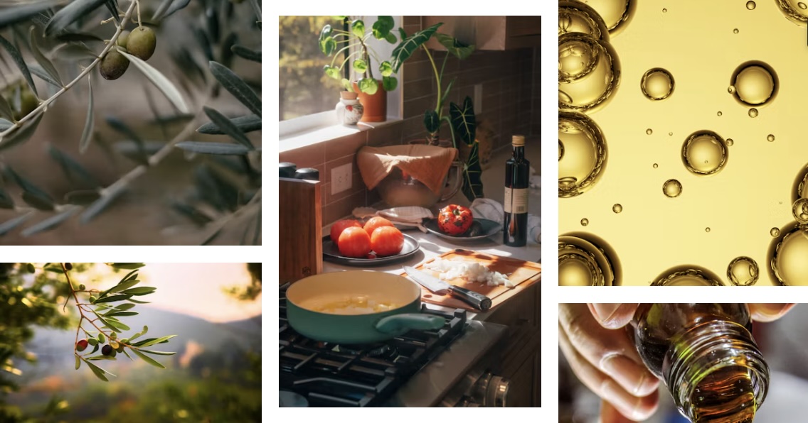 Harvest 2026/27: Where Does the Season Stand for High-Polyphenol Olive Oil?